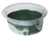 Spiruline fraîche