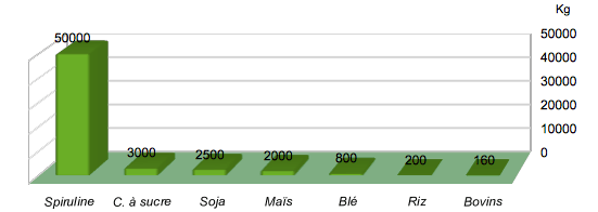 Rendement en protéine par hectare et par an 