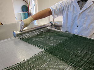 Extrusion de la spiruline en pailettes